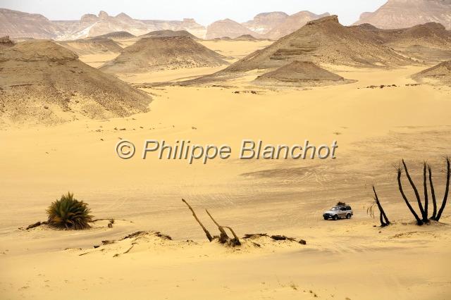 egypte desert libyque 29.JPG - 4x4 à proximité de l'oasis de FarafraDésert libyque, Egypte